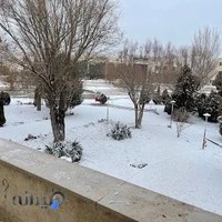 دانشگاه زنجان