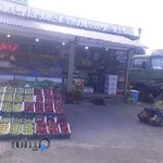 کانکس میوه وتره بار ۱۶شهرستان ساری