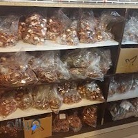 عمده فروشی زیورآلات مسی صباکوپر