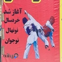 آکادمی تکواندو