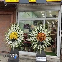 گلسرای ژینا