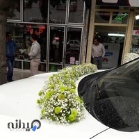 گلسرای پادینا