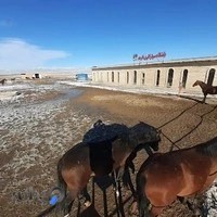 مجموعه سوارکاری فارهه