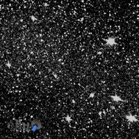 پیرایش قبیله