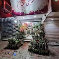 گلسرای گل آذین