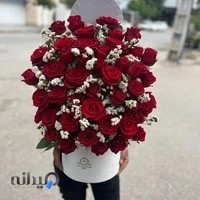 گلفروشی رزگل