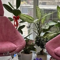 مرکز مشاوره و خدمات روانشناختی فروغ