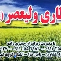 عطاری ولیعصر (عج) با مدیریت برادران حیدری زاده