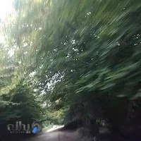 آموزشگاه زبان شکوه ساری