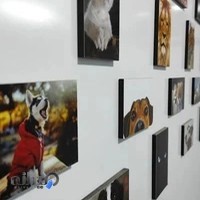 دامپزشکی دکتر سروش