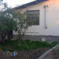 Veterinary Clinic Dr. Zaer کلینیک دامپزشکی دکتر زائر