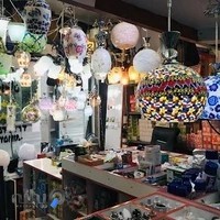 الکتریکی دوستان