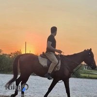 باشگاه سوارکاری یونا نورانی