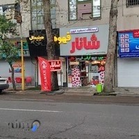 شانار فردوسی