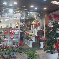 گالری گل بامبو ساری