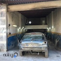 نقاشی محمدرضا