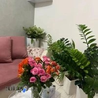 Dr. Nazgol khalili ( 0rgal clinic) دکتر نازگل خلیلی