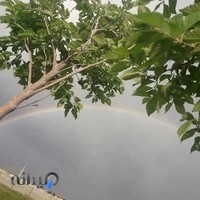 باشگاه سوارکاری وتوس