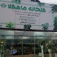 گلخانه ماهگلا