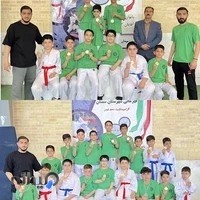 اکادمی کاراته قهرمان