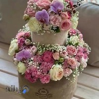 گلسرای قاصدک