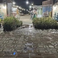 گلفروشی یاس