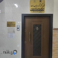 دکتر اکرم لبیب زاده