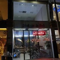 املاک دیپلمات