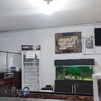 کافی نت سایبر