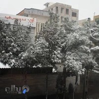 شرکت شید افزار رایانه