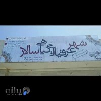 شهر عرقیات سالار