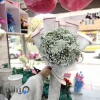 گلسرای آتوسا