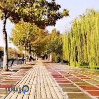 دانشگاه کردستان