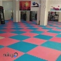 باشگاه ورزشی (بانوان) گولان ئاویه ر