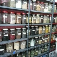 گیاهان دارویی ابن سینا