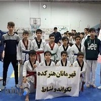 آکادمی تکواندو نشاط