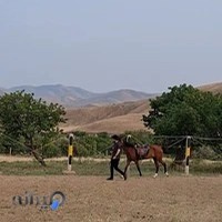 باشگاه سوارکاری شروان