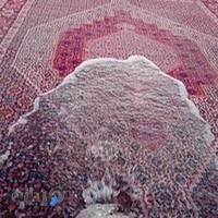 قالیشویی و مبل شویی توحید