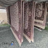 قالیشویی بانو