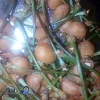 نمایشگاه درب های ضد سرقت صراحیان