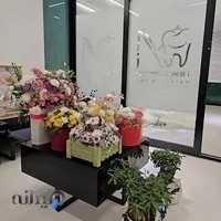 مطب دندانپزشکی خانم دکتر ماریه رشیدی