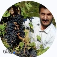 مشاوره تخصصی کسب و کار ،بازاریابی انگور دیمی و محصولات کشاورزی ارگانیک