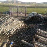 چوبفروشی هدایت سلیمانی