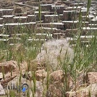 اقامتگاه بومگردی گلاویژ