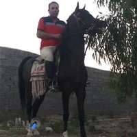 مدرسه سوارکاری سپهسالار