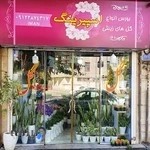 گل فروشی اسپرینگ