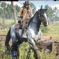 کافه کباب و گیم نت سید