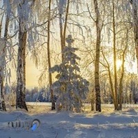 صرافی سیرجان