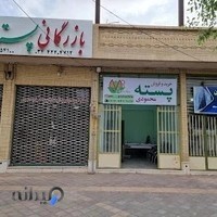 خرید و فروش پسته محمودی