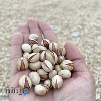 ATLAS pistachio company